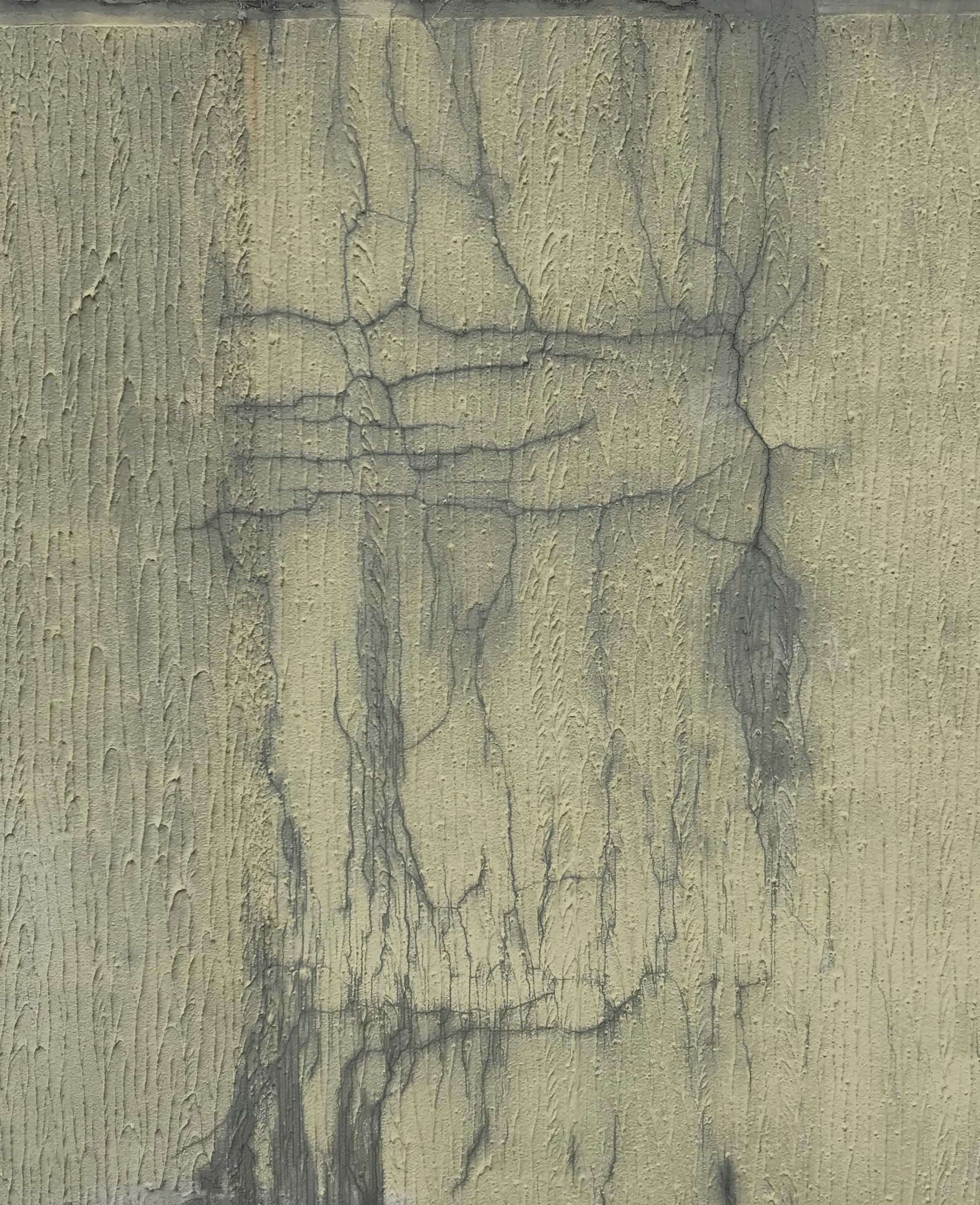 Portrait of Alan Sokal